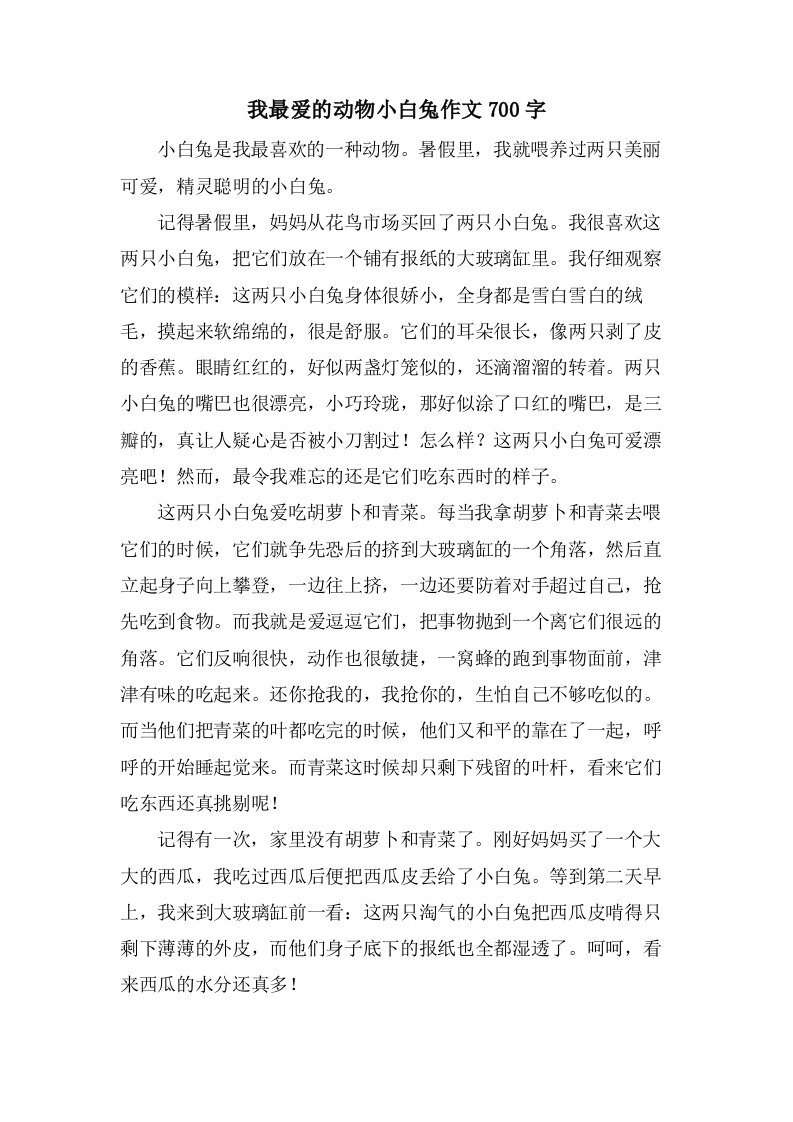 我最爱的动物小白兔作文700字