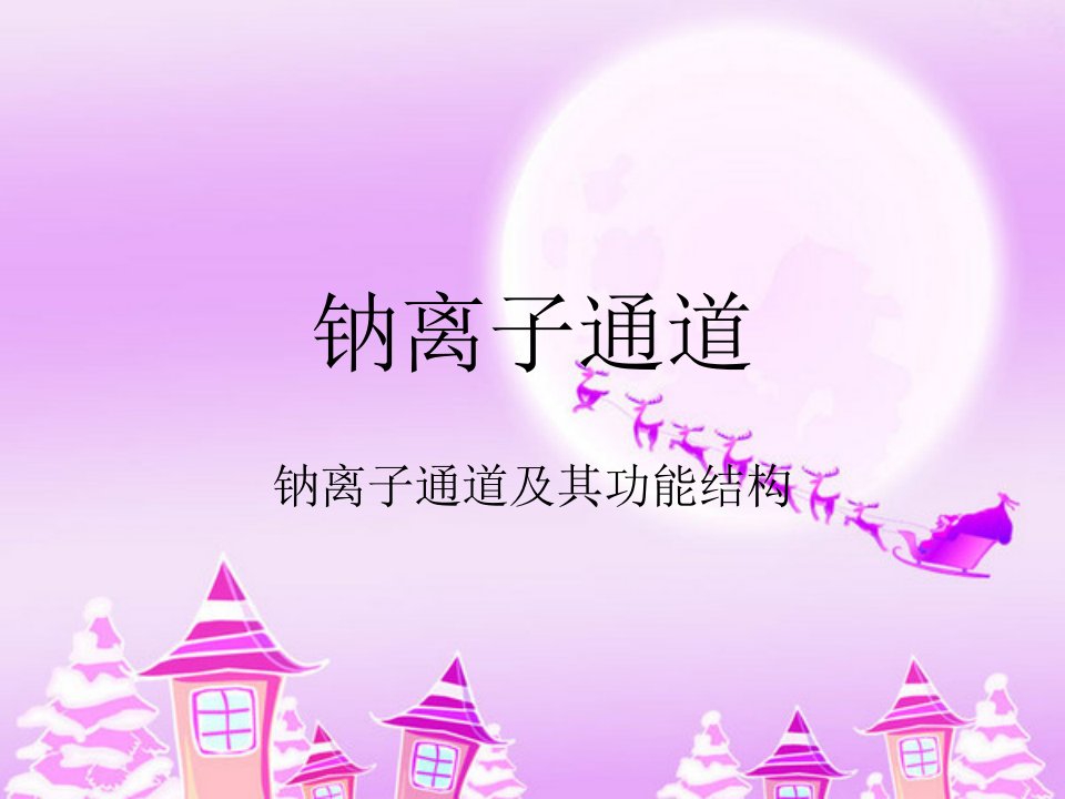 《钠离子通道》PPT课件