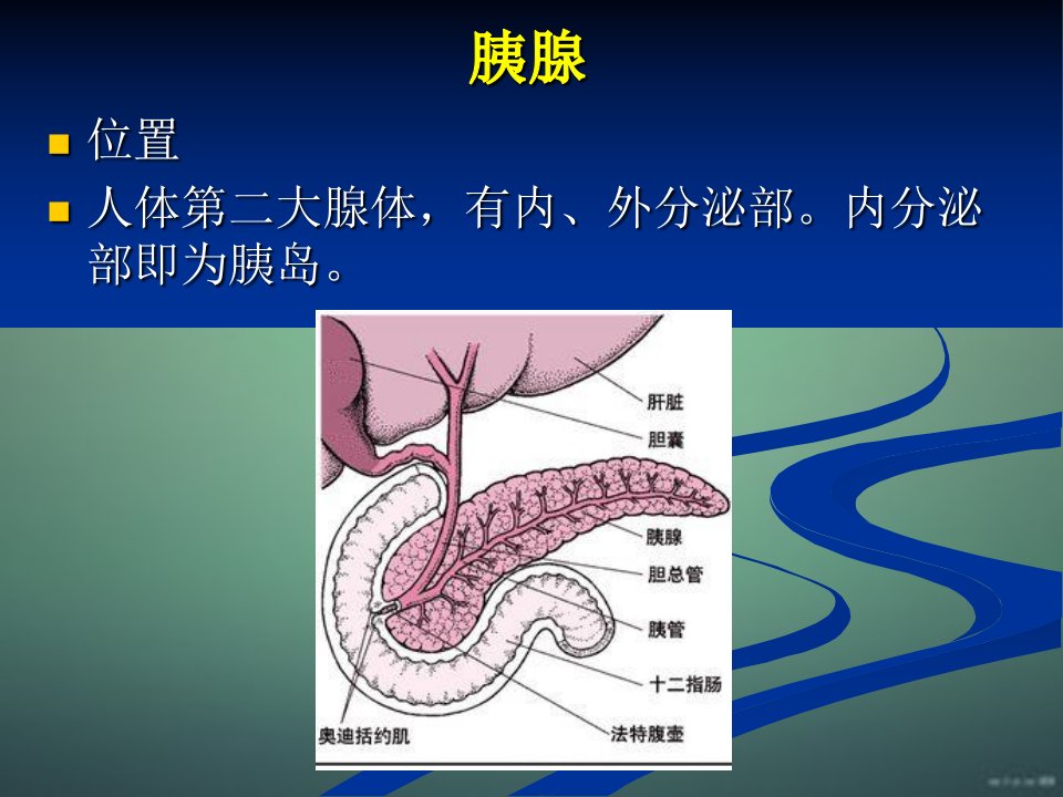 最全胰岛素的种类及用法ppt课件