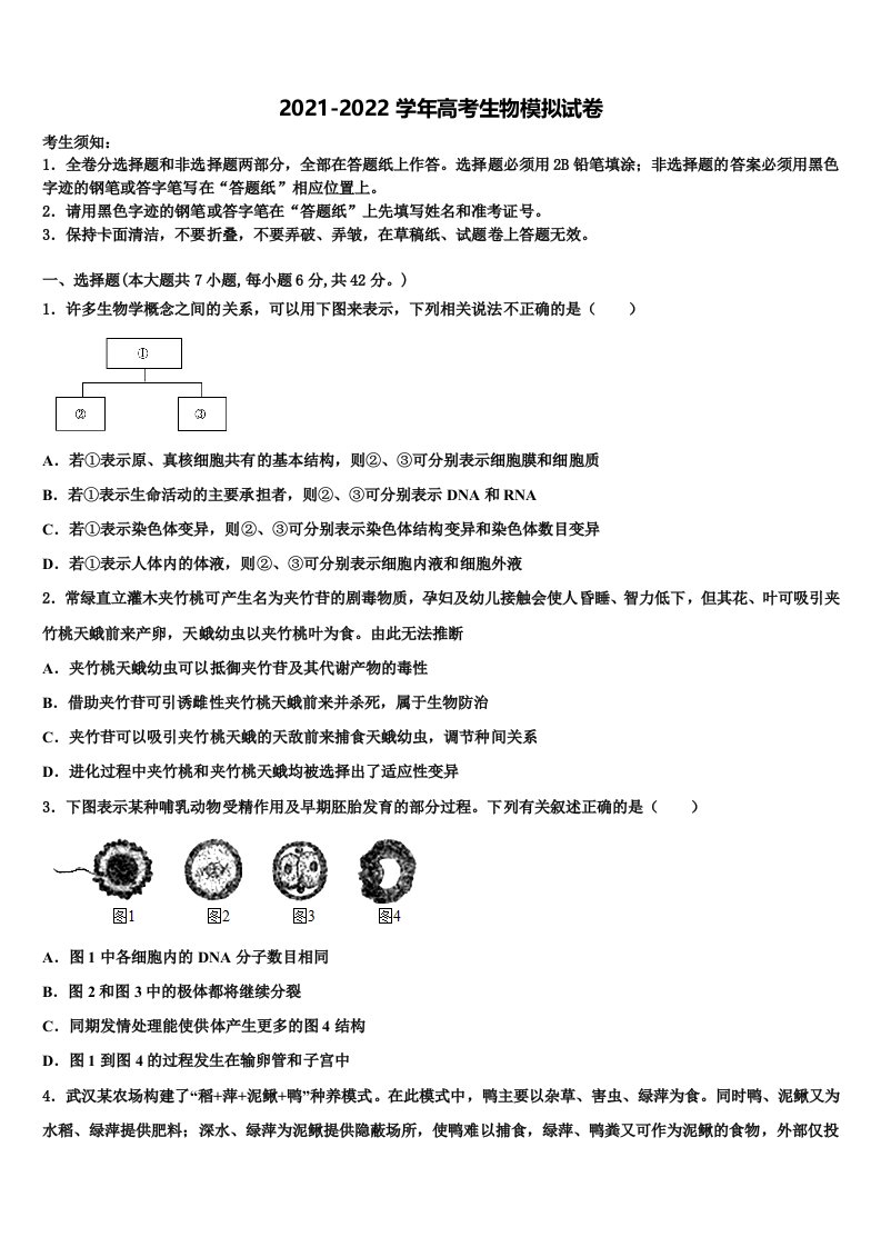 2022年海南省定安中学高三最后一卷生物试卷含解析