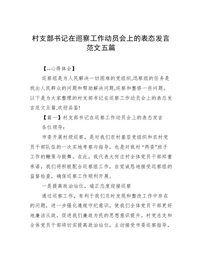 村支部书记在巡察工作动员会上的表态发言范文五篇