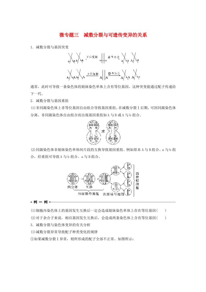 鲁湘辽新教材2024届高考生物一轮复习学案第四单元细胞的生命历程微专题三减数分裂与可遗传变异的关系