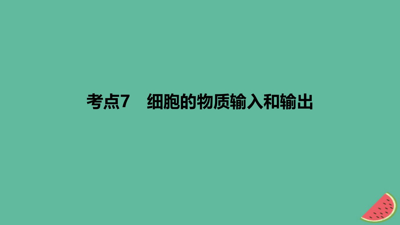 2024版高考生物一轮复习专题基础练专题二细胞的基本结构与物质运输考点7细胞的物质输入和输出作业课件