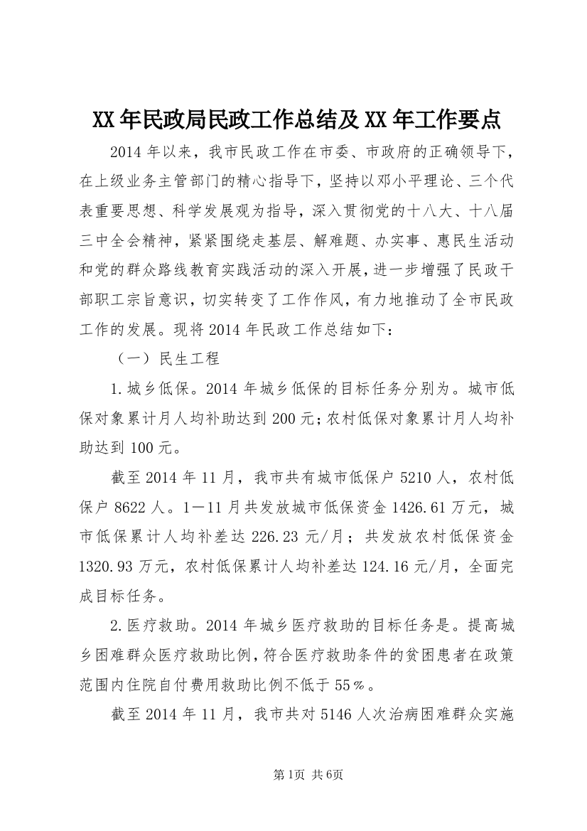 XX年民政局民政工作总结及XX年工作要点