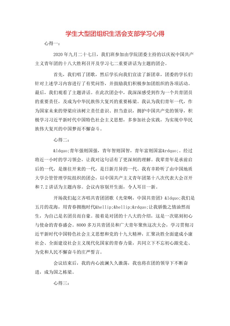 学生大型团组织生活会支部学习心得