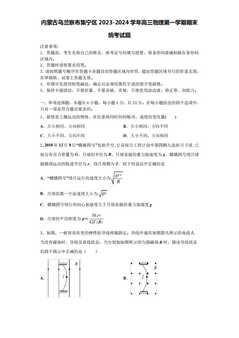 区2023-2024学年高三物理第一学期期末统考试题含解析