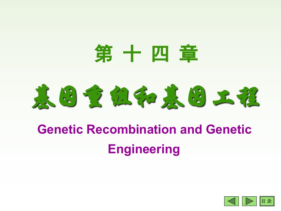 14基因重组和基因工程ppt-PowerPoint演示