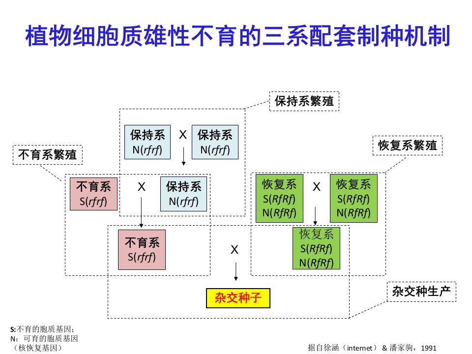 最新张先锋公司SPT技术简介PPT课件