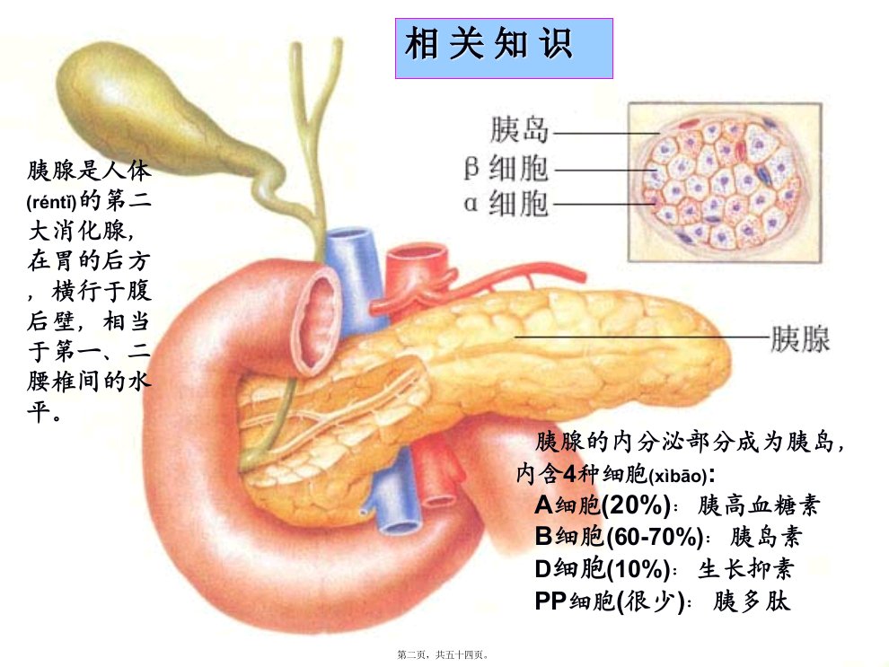 医学专题胰岛素及口服降糖药