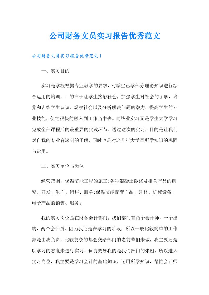 公司财务文员实习报告优秀范文