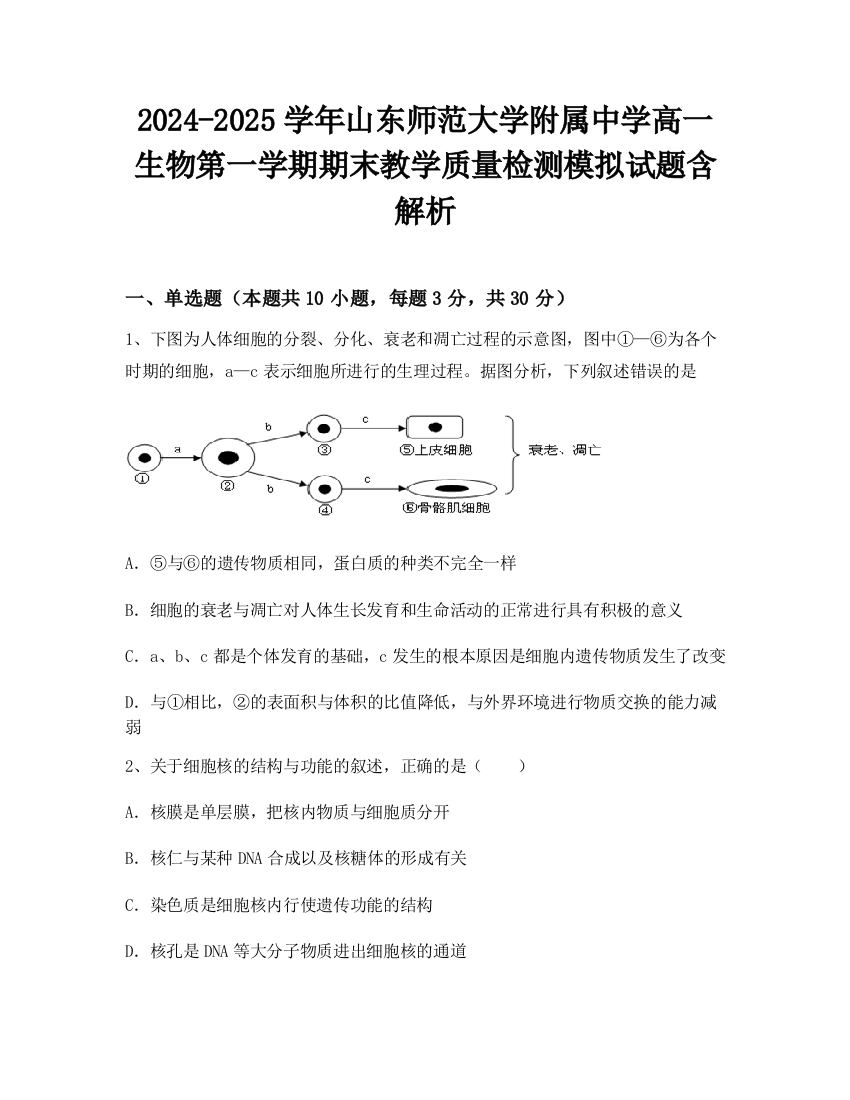 2024-2025学年山东师范大学附属中学高一生物第一学期期末教学质量检测模拟试题含解析