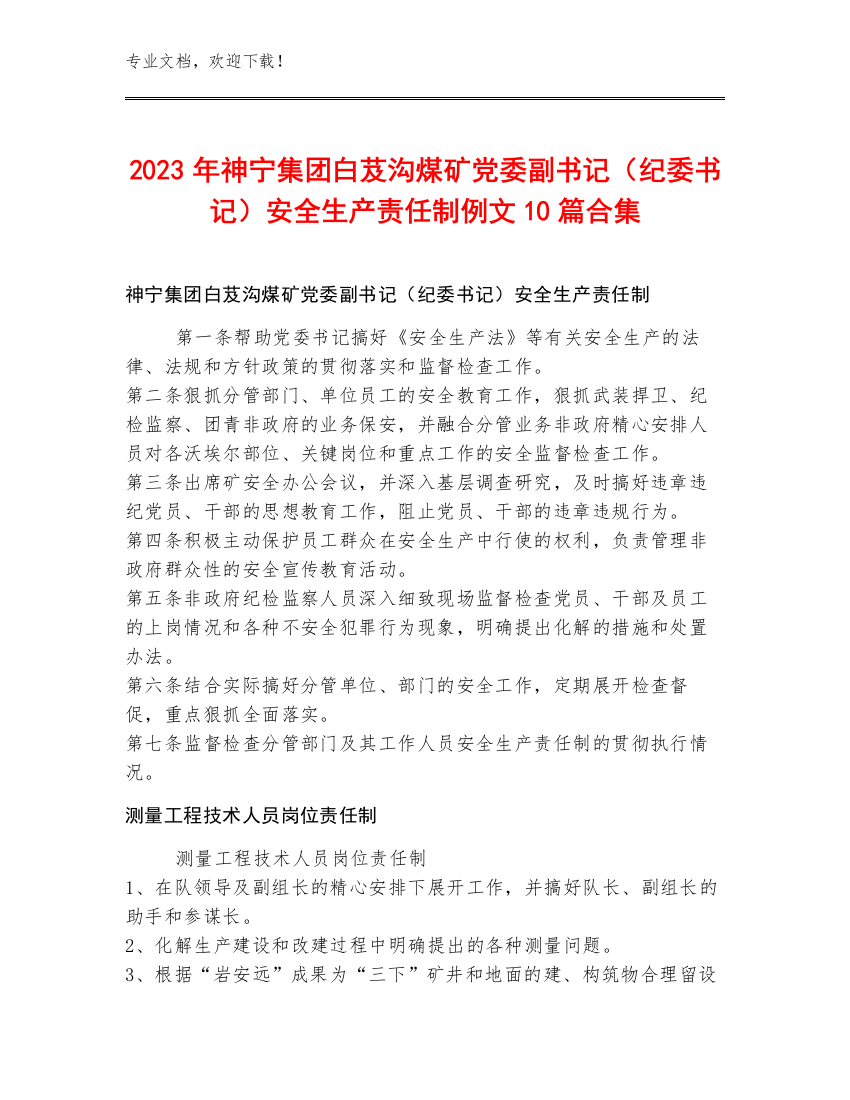 2023年神宁集团白芨沟煤矿党委副书记（纪委书记）安全生产责任制例文10篇合集