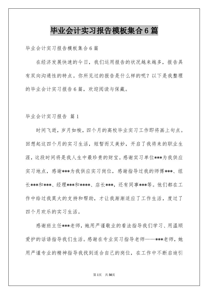 毕业会计实习报告模板集合6篇