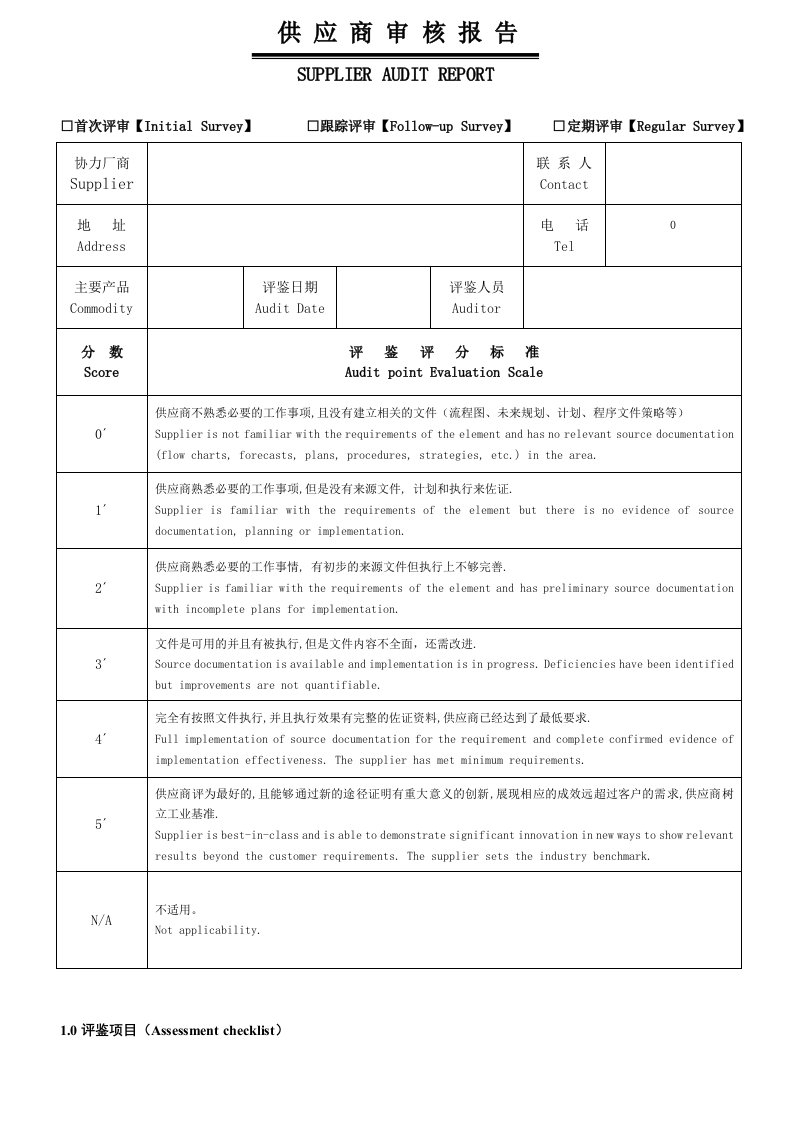 供应商审核报告