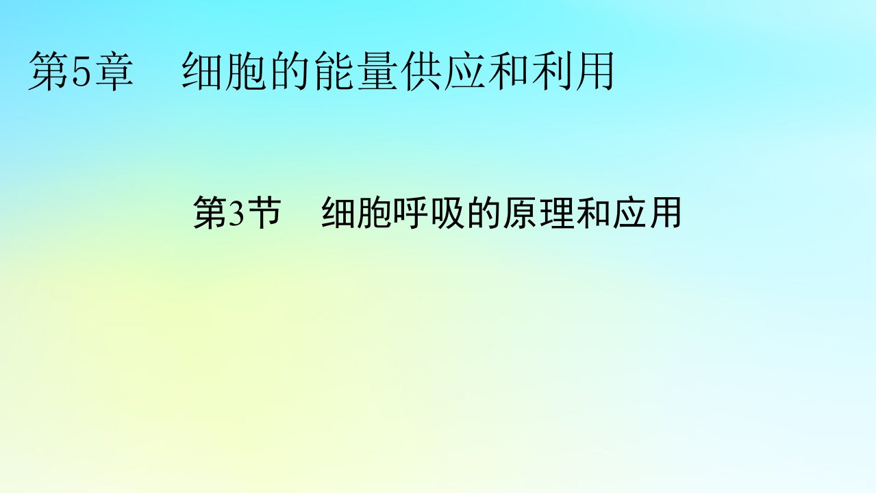 新教材2024版高中生物第5章细胞的能量供应和利用第3节细胞呼吸的原理和应用课件新人教版必修1