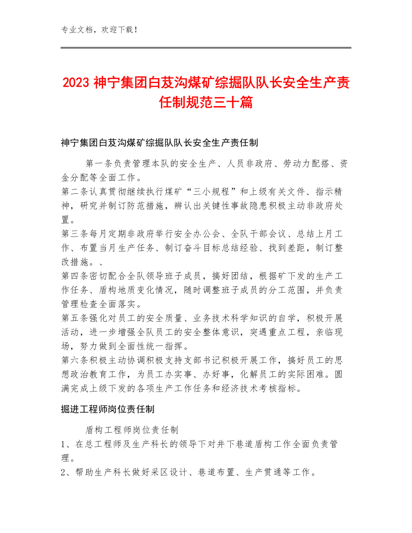 2023神宁集团白芨沟煤矿综掘队队长安全生产责任制规范三十篇