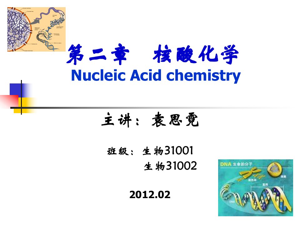 生物化学第二章核酸化学