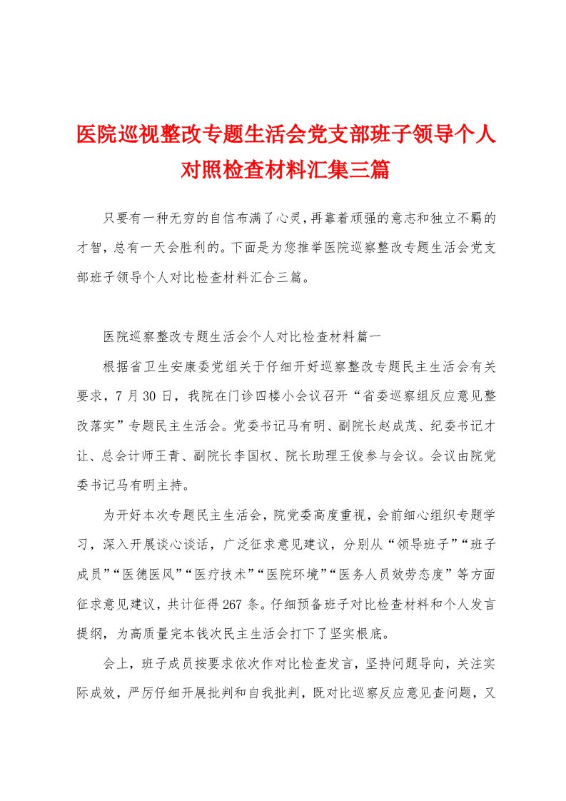 医院巡视整改专题生活会党支部班子领导个人对照检查材料汇集三篇