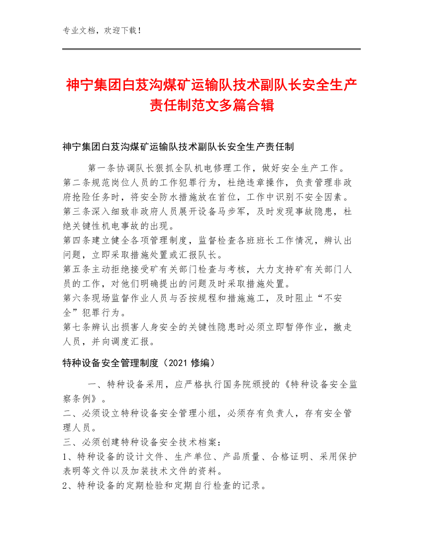 神宁集团白芨沟煤矿运输队技术副队长安全生产责任制范文多篇合辑