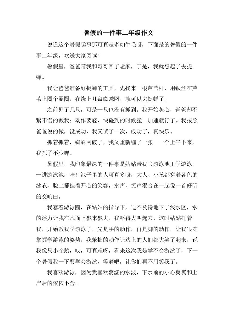 暑假的一件事二年级作文