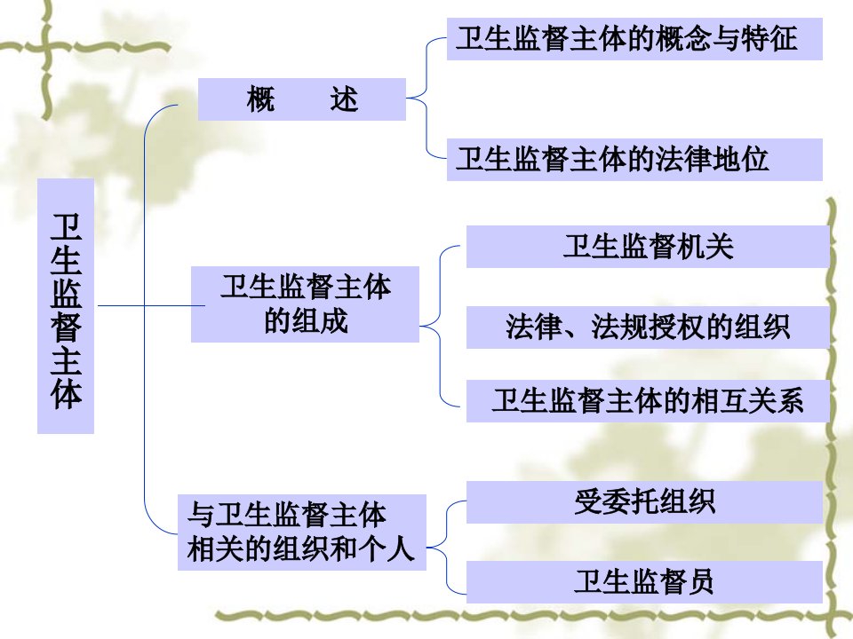 卫生监督主体