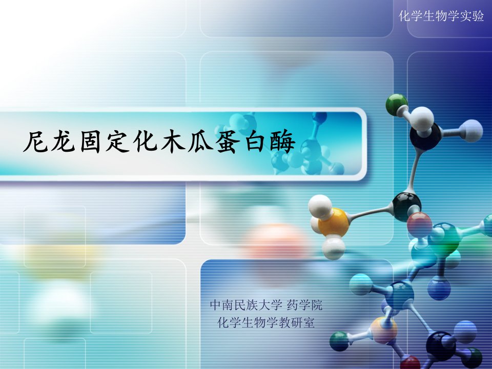 中南民族大学药学院化学生物学教研室