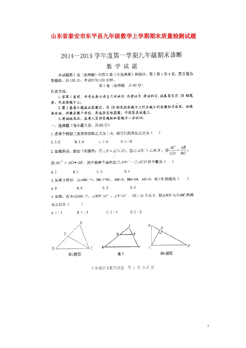 山东省泰安市东平县九级数学上学期期末质量检测试题（扫描版）