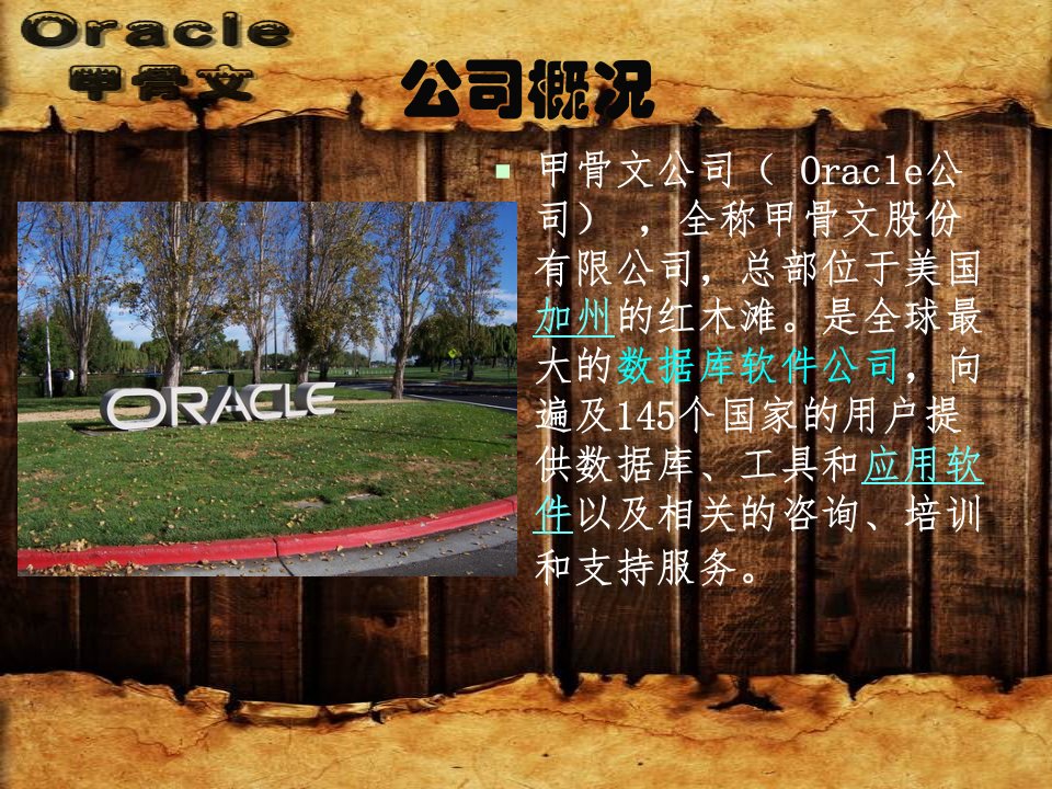 医学专题甲骨文公司Oracle的发展和创新