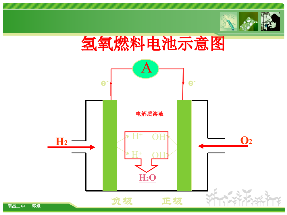 形成电解质溶液2Fe