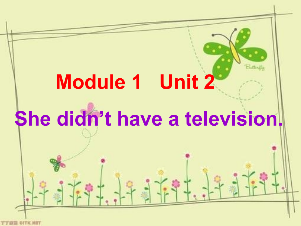 五年级下Module-1-Unit-2-she-didn27t-have-a-televisionppt课件