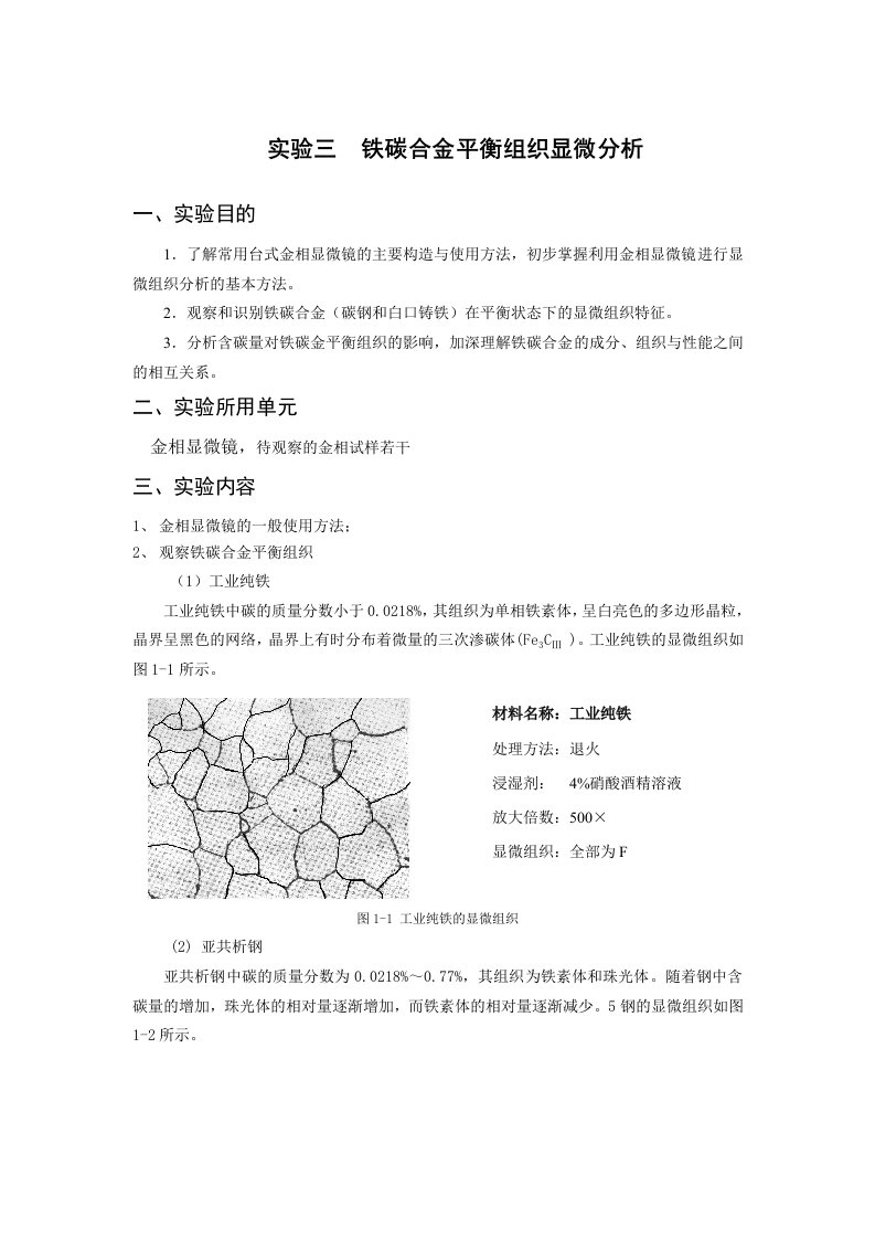 工程材料实训报告模板