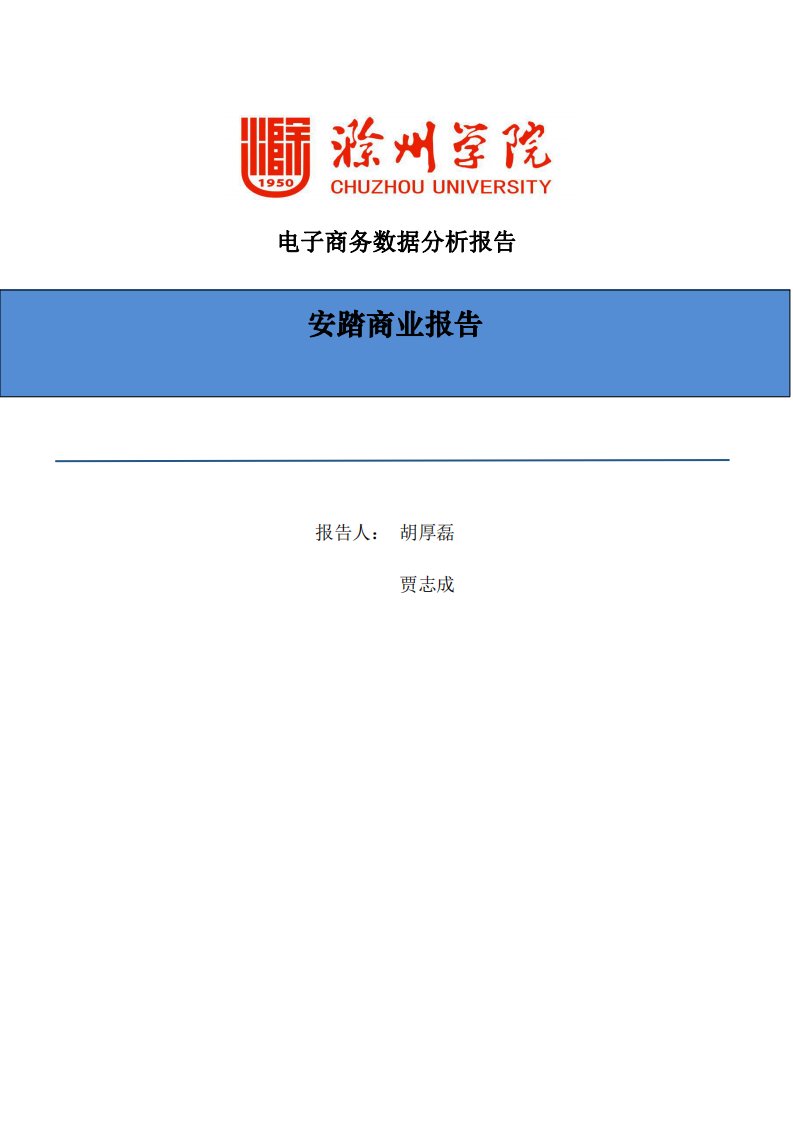 电子商务报告——安踏商业报告