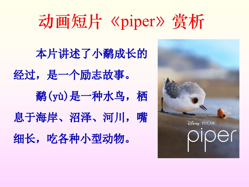 动画短片《鹬》(piper)赏析ppt课件