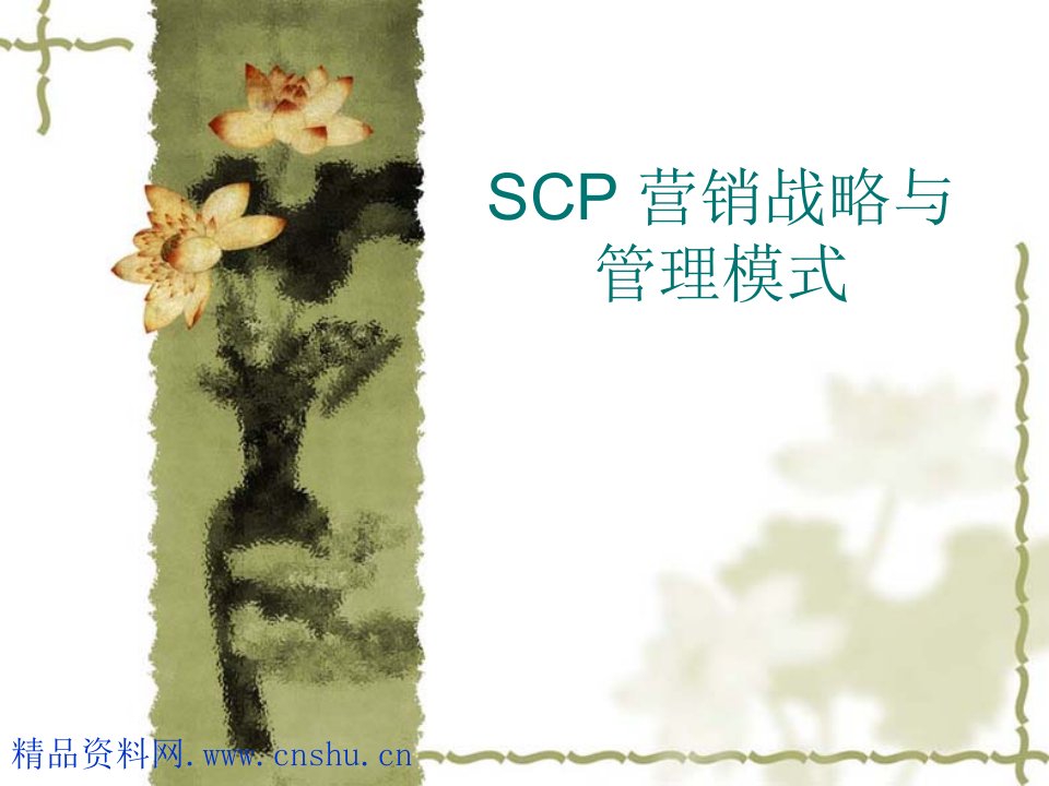 scp营销战略与管理模式(1)