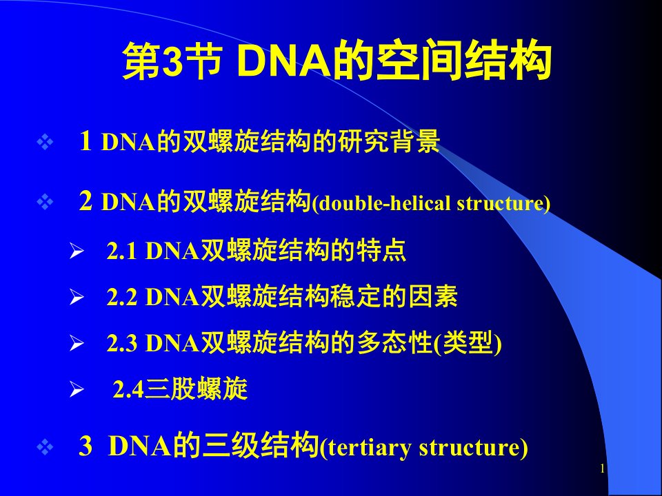 第3节DNA的空间结构
