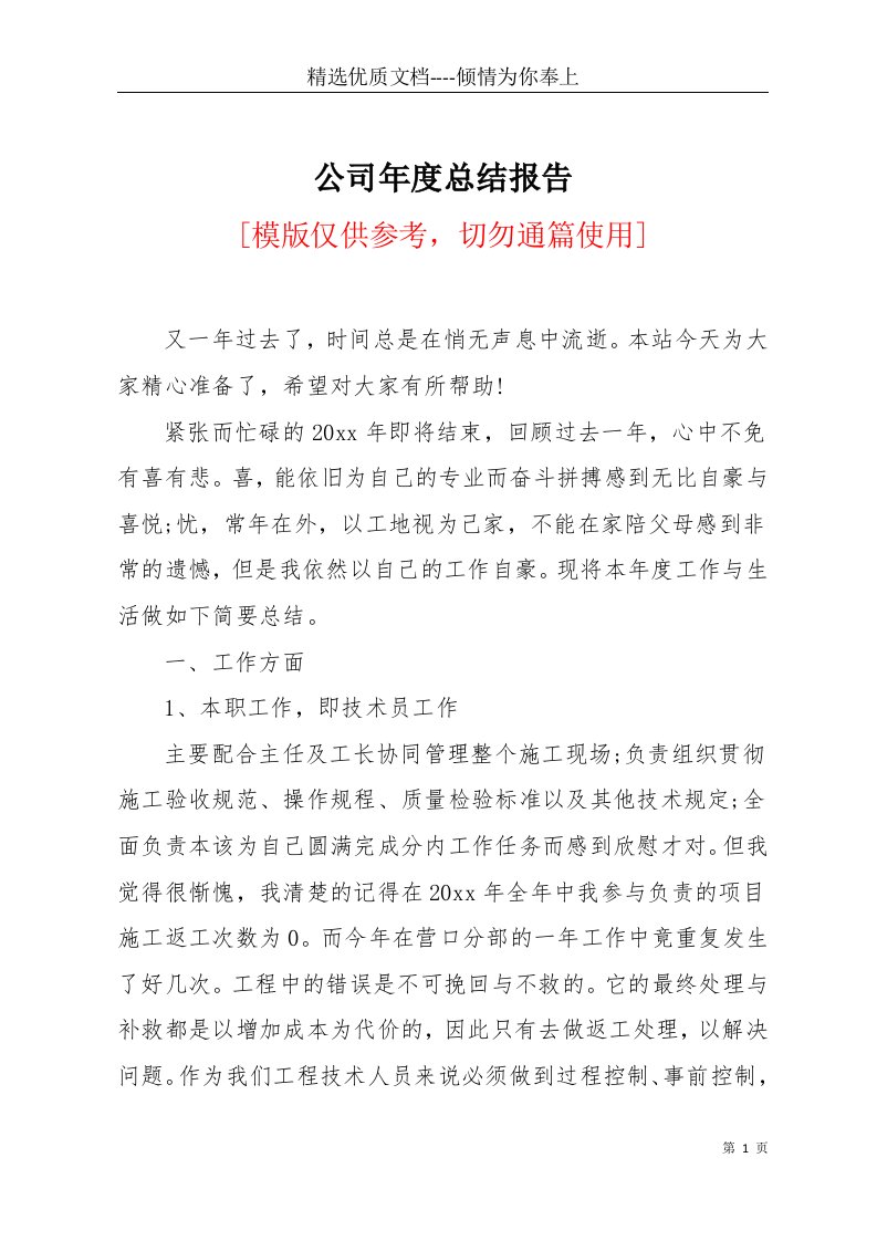 公司年度总结报告(共9页)