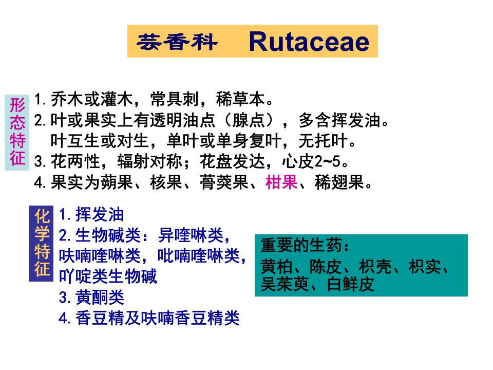 《生药学08芸香科》PPT课件