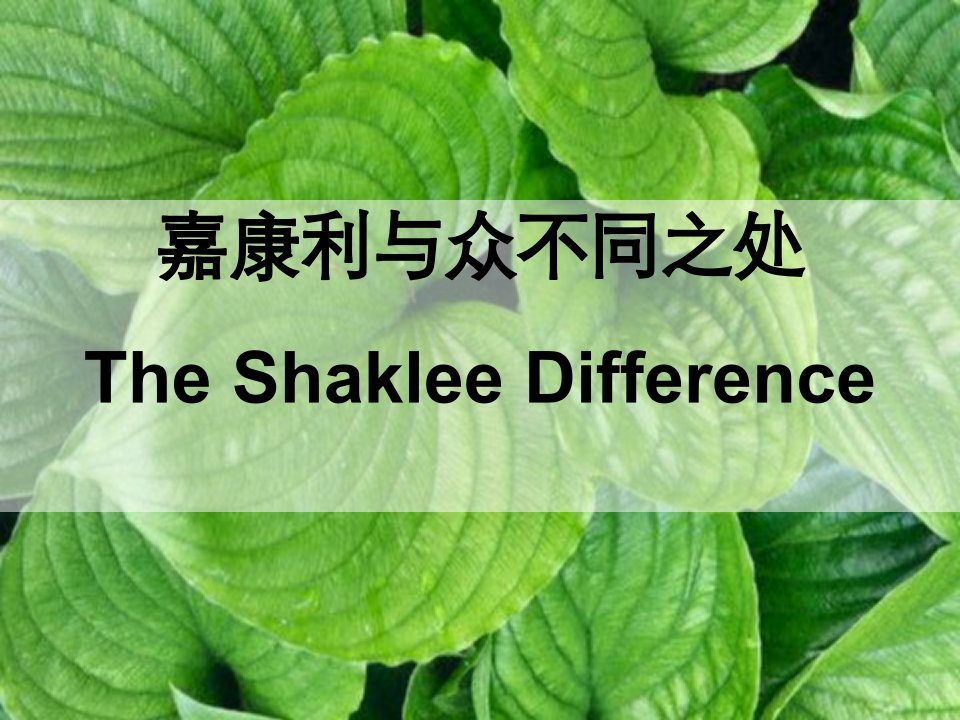 嘉康利与众不同之处TheShakleeDifferenceP