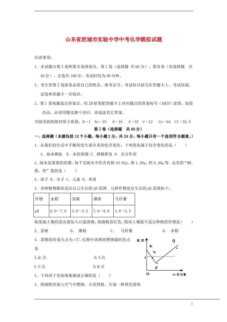 山东省肥城市实验中学中考化学模拟试题