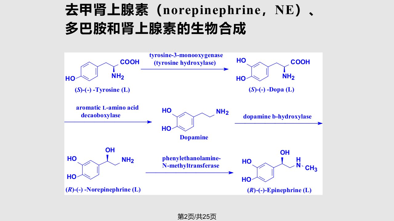 药物化学肾上腺素受体激动剂