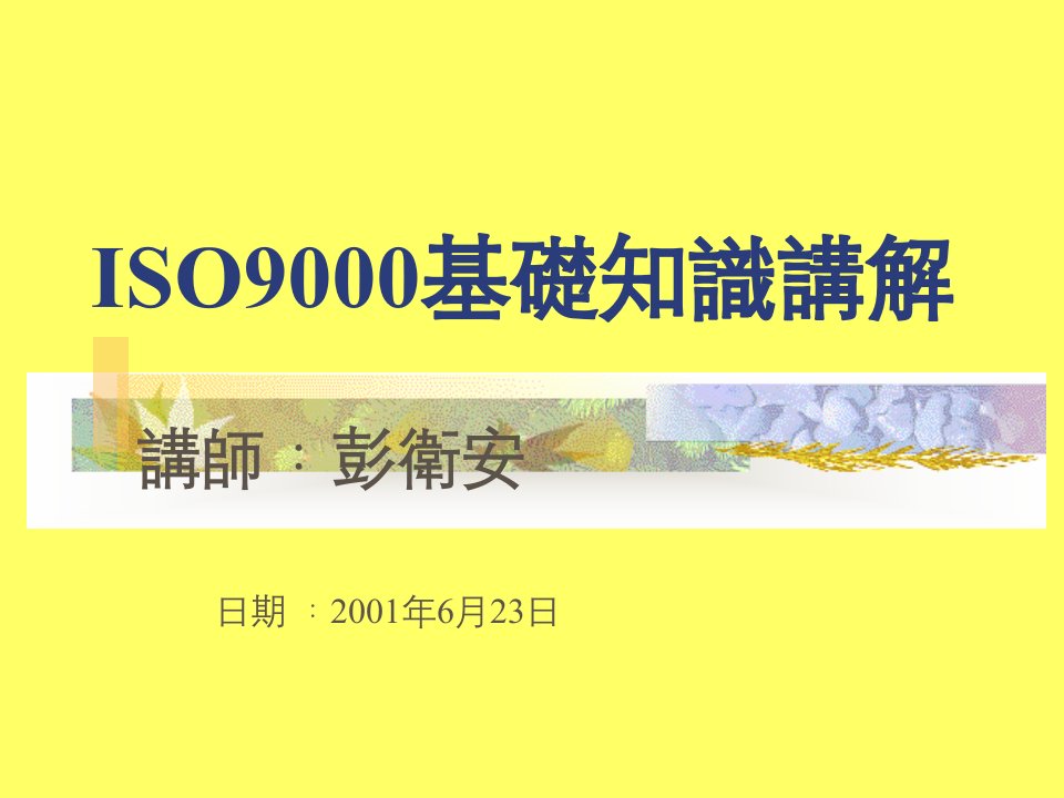 iso9000基础知识讲解(彭卫安)