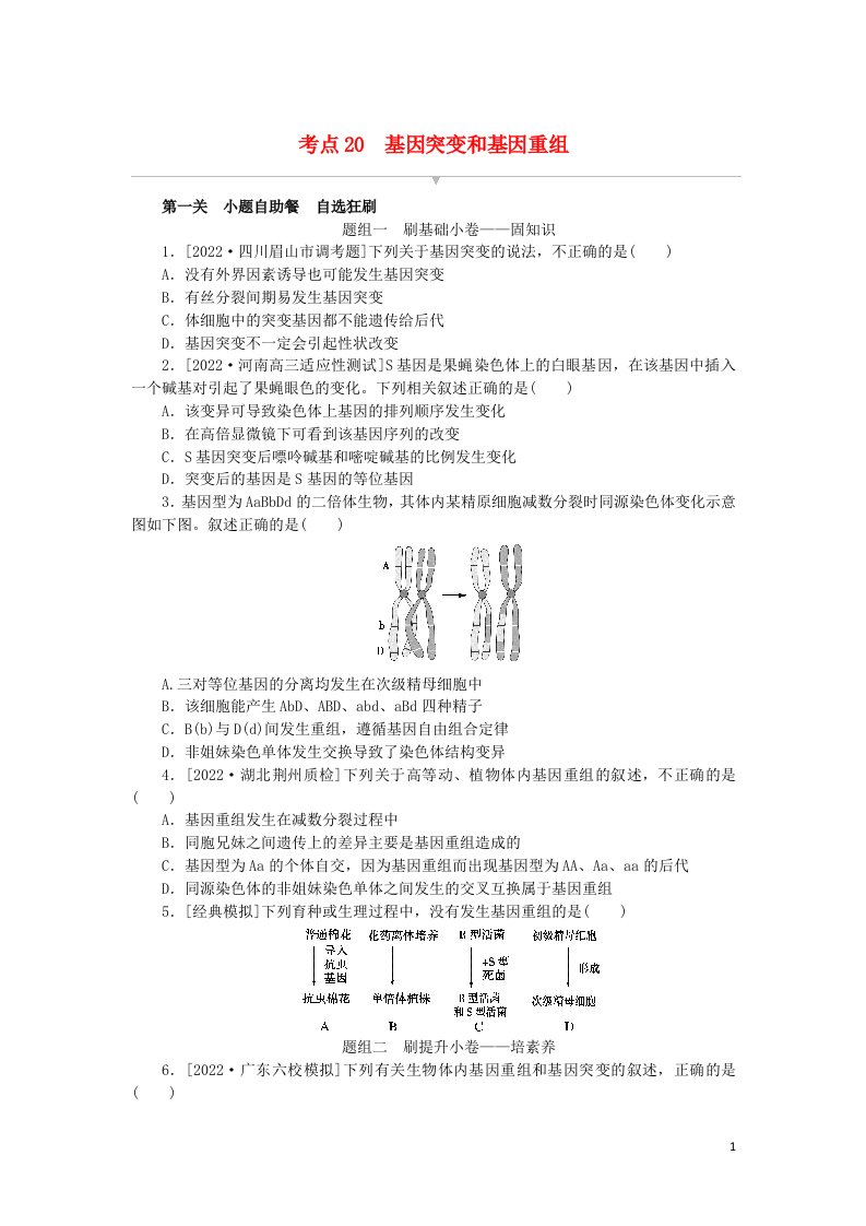 2023版新教材高考生物复习特训卷第七单元生物的变异和进化考点20基因突变和基因重组