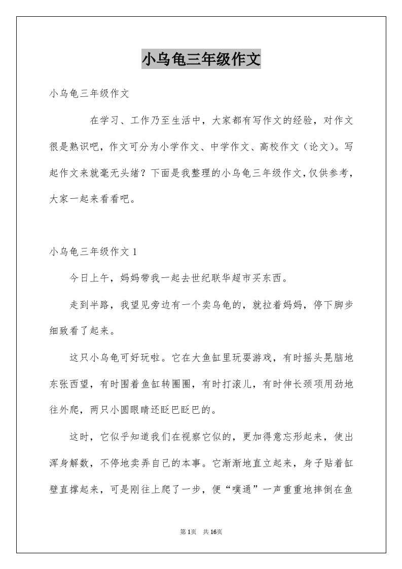 小乌龟三年级作文例文