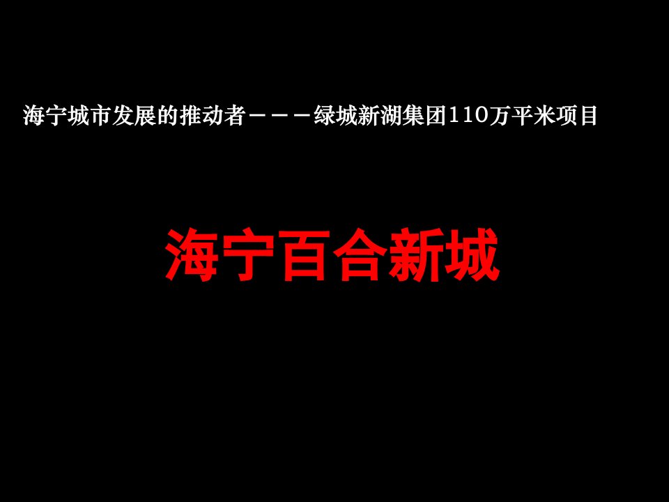 绿城新湖百合新城商业旅游地产项目推荐说明手册75PPT