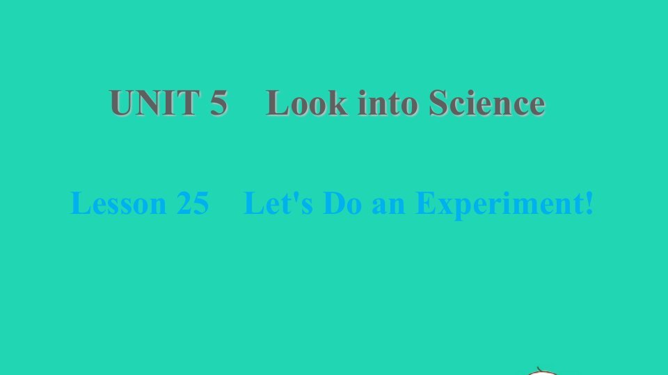 2021九年级英语上册Unit5LookintoScienceLesson25Let'sDoanExperiment课件新版冀教版