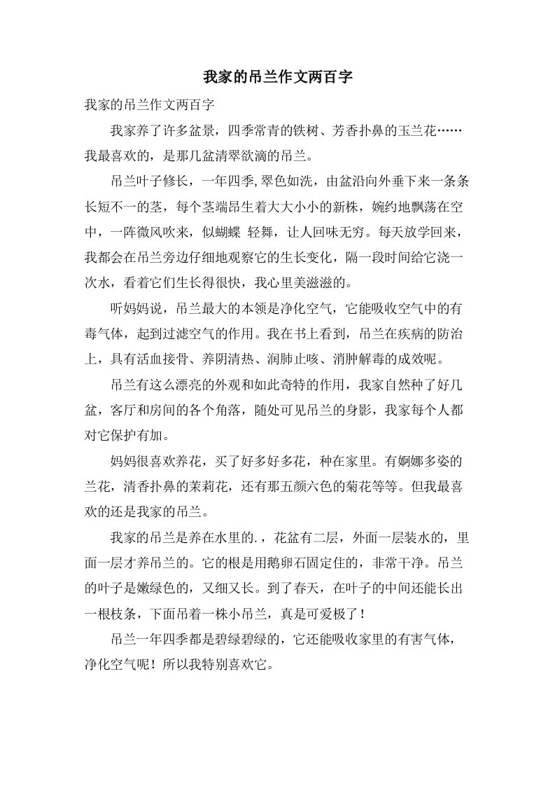 我家的吊兰作文两百字