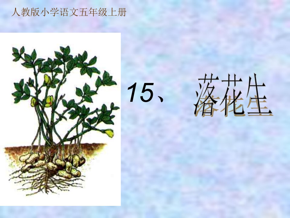 说课稿落花生ppt1-课件（ppt·精·选）