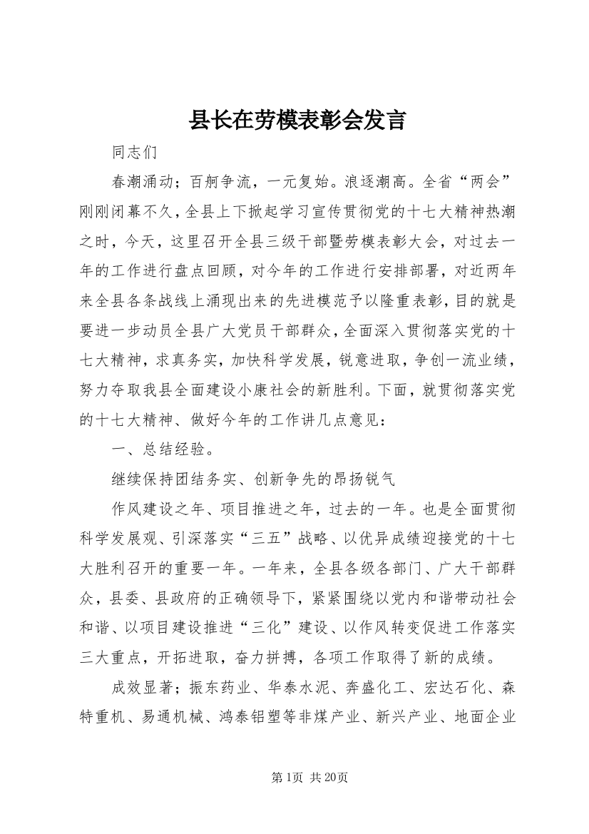 县长在劳模表彰会发言