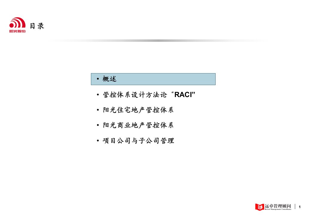 远卓阳光集团管控体系建议及权责划分好ppt课件