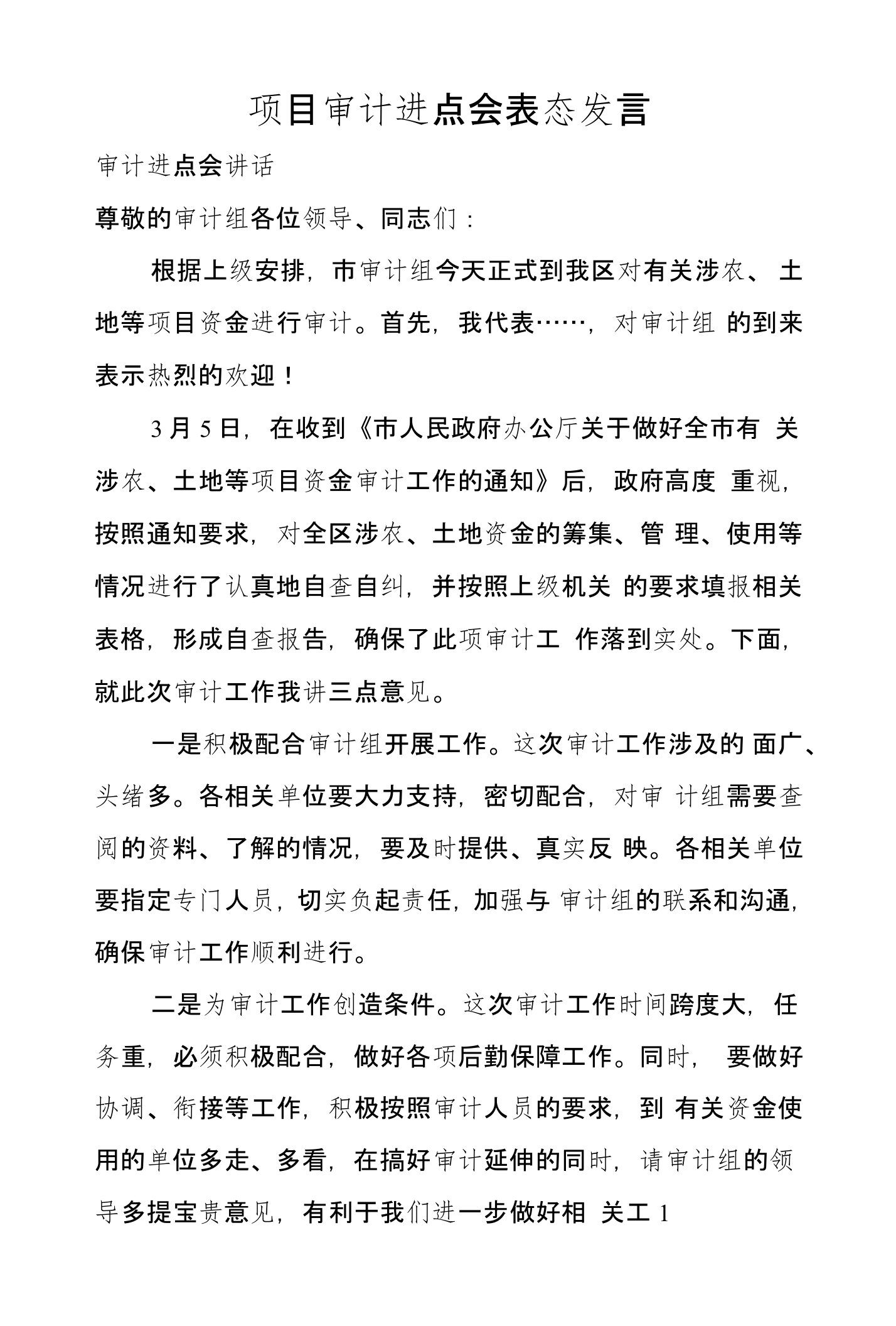 项目审计进点会表态发言